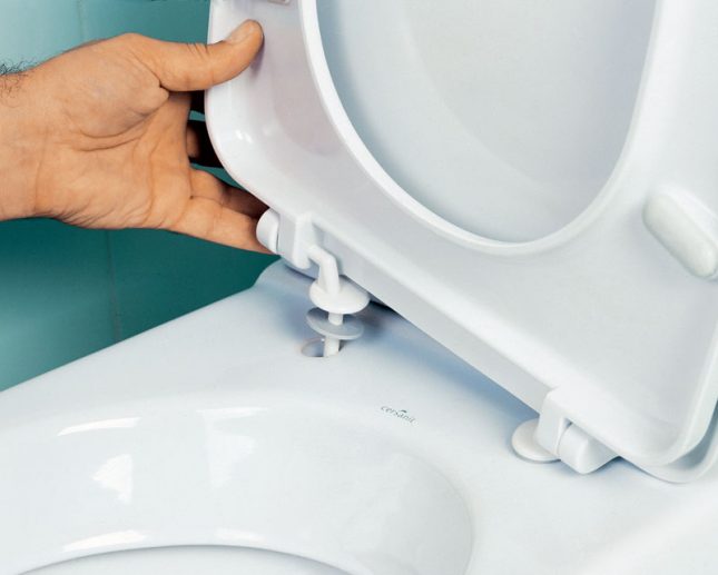 Крепление крышки унитаза