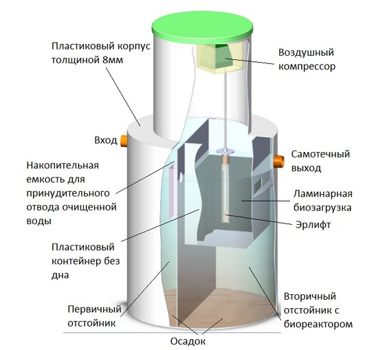 Биозон в разрезе