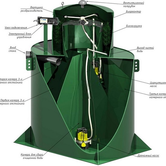 Альта Био в разрезе