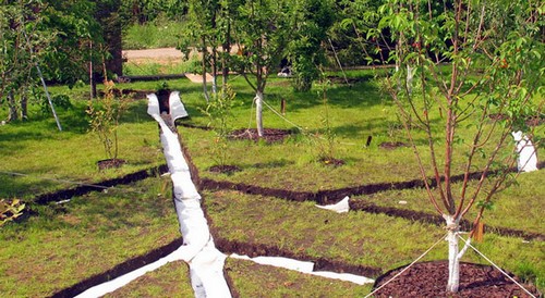 Система отвода воды в саду Система отвода воды в саду