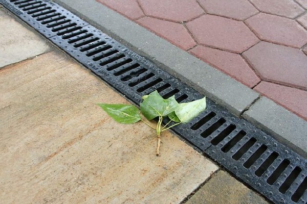 Разновидность дождеприемника Разновидность дождеприемника